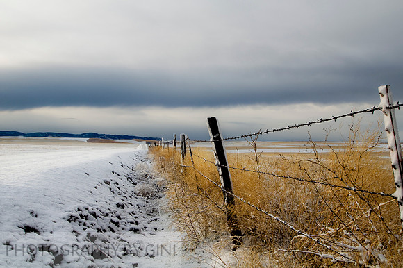 Winter Road to Craig Mountain