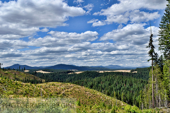 As Far As The Eye Can See