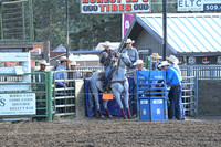NewPort Steer Roping