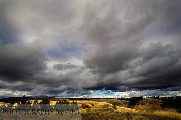Sun Lit Plains